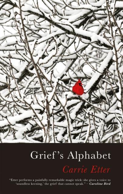  Griefs Alphabet par Carrie Etter 9781781727508 NEUF livre de poche softback - Photo 1/1
