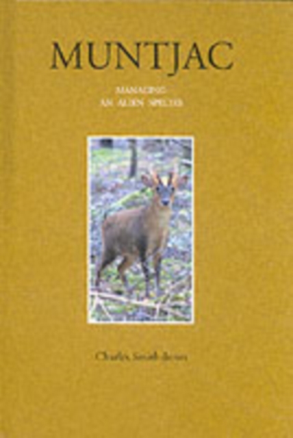 www.ryefieldbooks.com